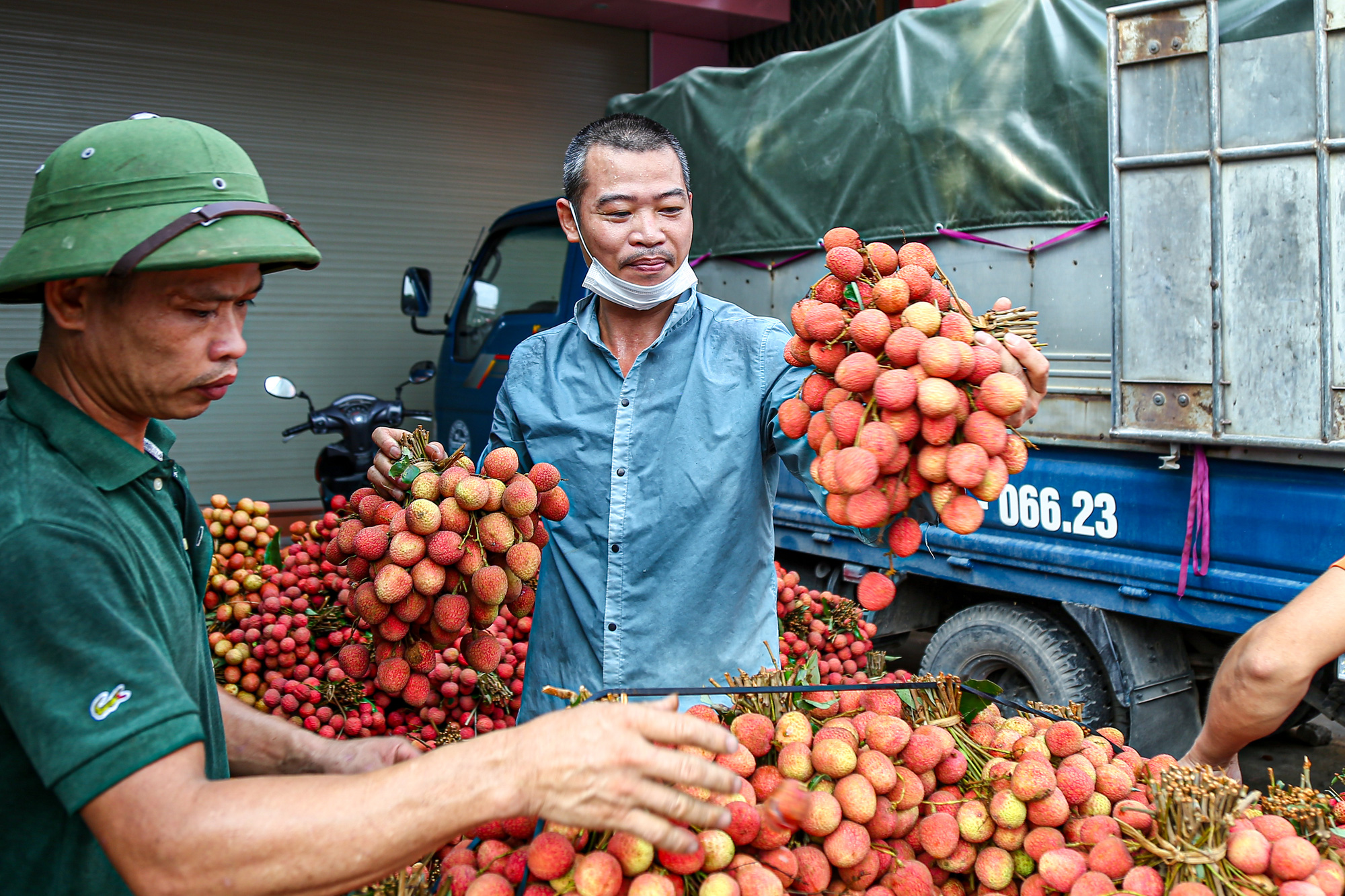 trái vải - Ảnh 1.