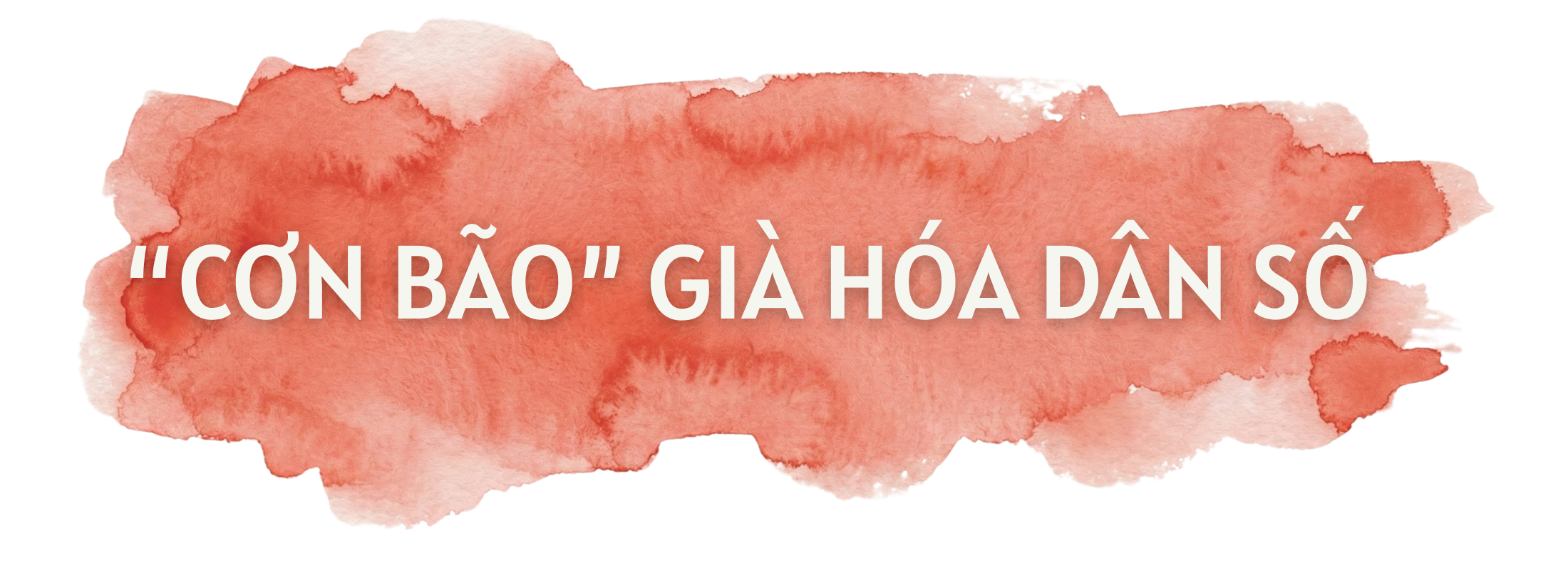 Việt Nam trước nỗi lo chưa giàu đã già - Ảnh 1. Việt Nam trước nỗi lo chưa giàu đã già - Ảnh 1.