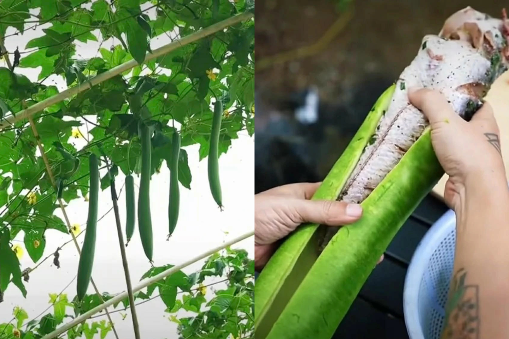 Vợ cao 1,8m nấu ăn gây sốt vì không giống ai, Hồ Quang Hiếu nói gì? - 1