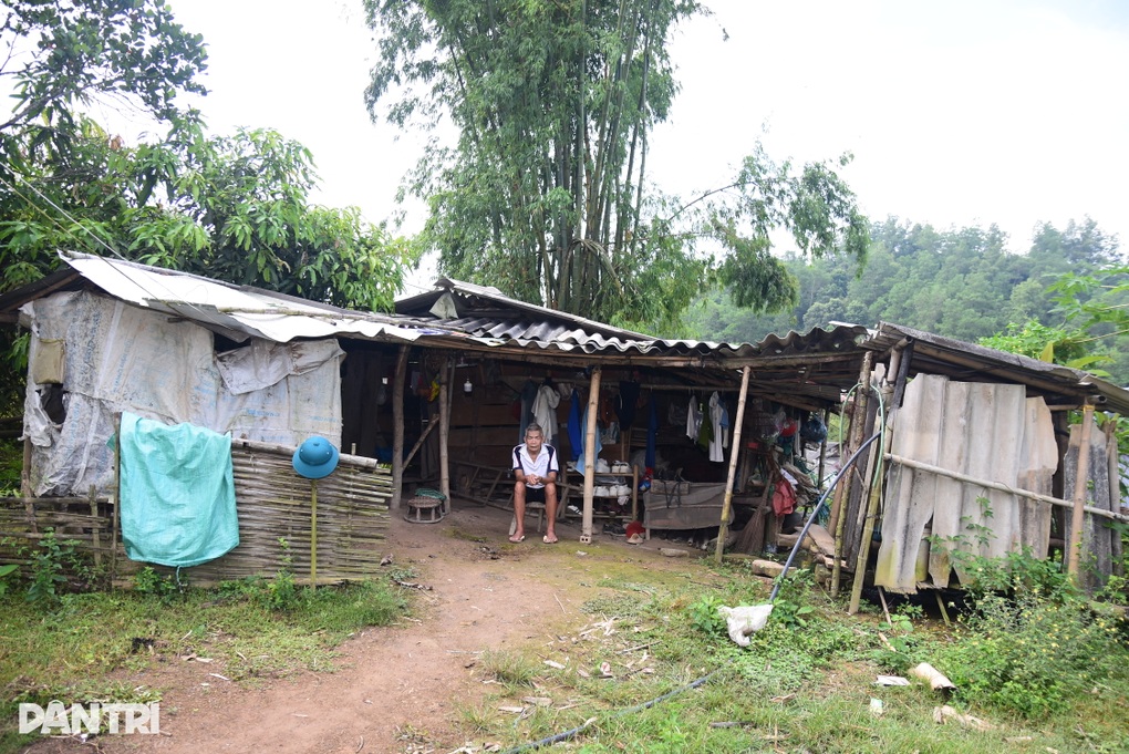 Vợ mất sớm, các con khó nghèo, cụ ông 82 tuổi quen khổ và bệnh tật - 1