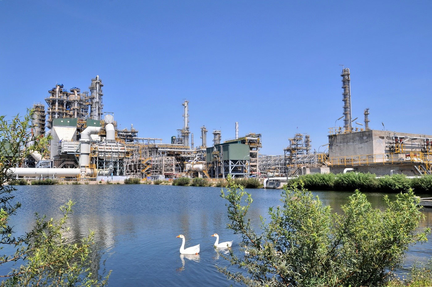 Với chiến lược và quyết tâm cao, BSR chủ động ‘vượt bão’ năm 2026 - Ảnh 1.