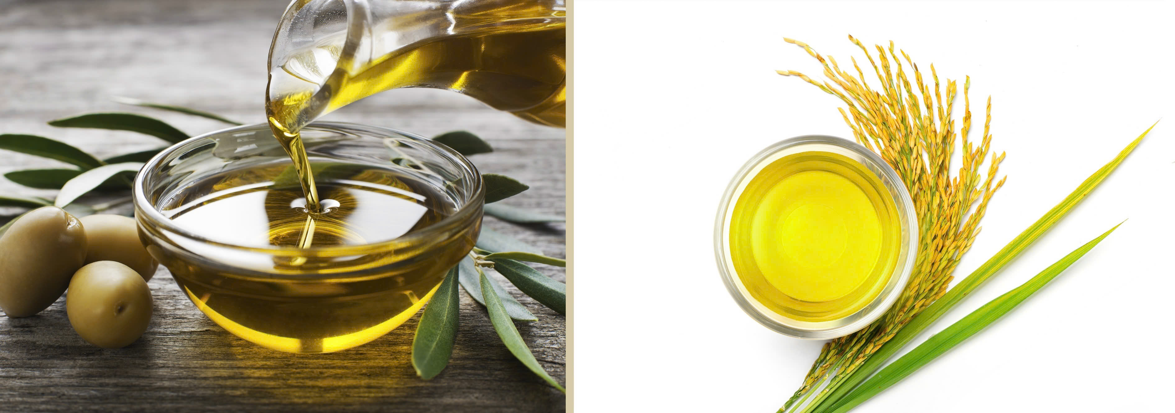 Dầu ô-liu nguyên chất và dầu gạo lứt là những loại dầu ăn được các tổ chức y tế và dinh dưỡng quốc tế đánh giá cao