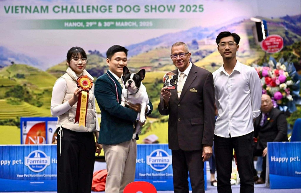 Vụ thanh niên “điều” chó vào đám đông: Cộng đồng nuôi chó phẫn nộ - 3