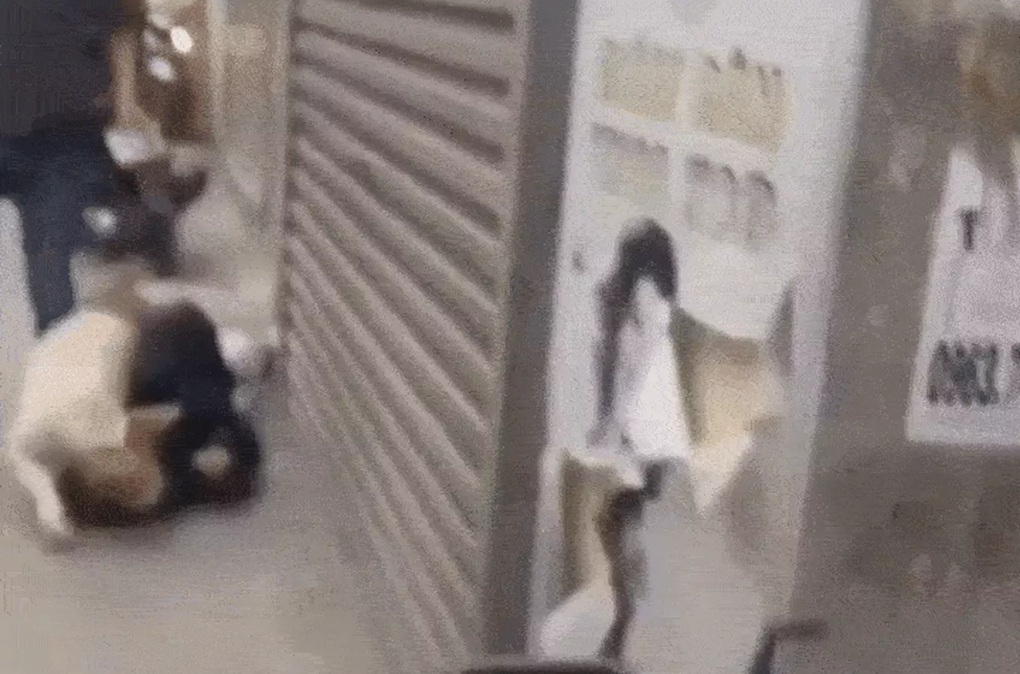 Vụ thanh niên “điều” chó vào đám đông: Cộng đồng nuôi chó phẫn nộ - 1