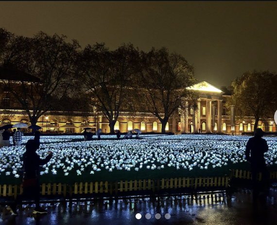 Vương phi Kate và 30.000 đóa hồng trắng thắp sáng trời đêm, lời nhắn gửi riêng tư cho bệnh nhân ung thư gây bão- Ảnh 2.