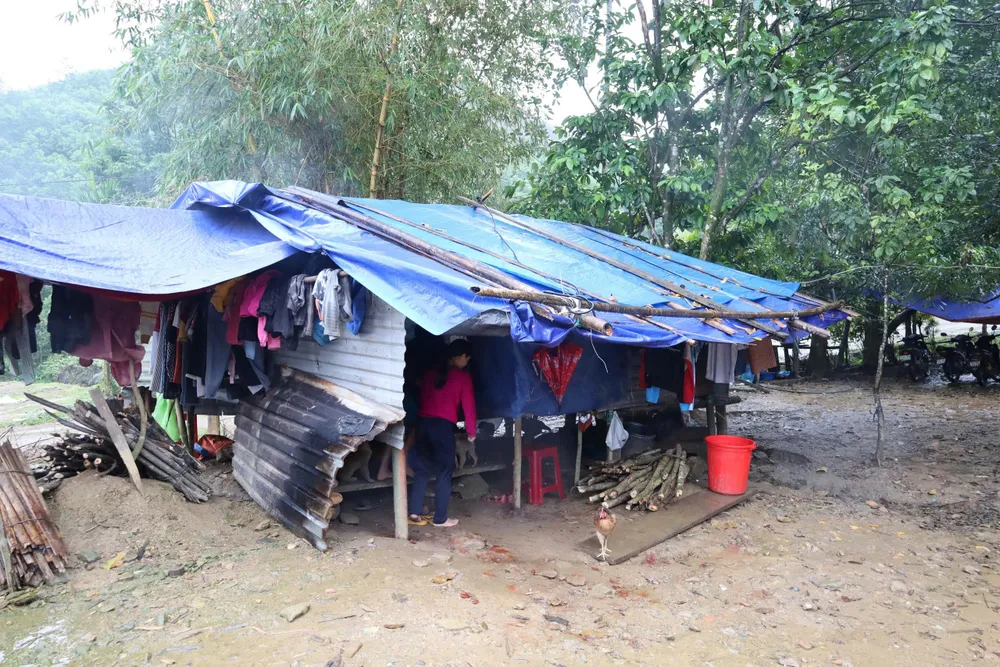 Lán trại tạm bợ của một hộ dân mất nhà do sạt lở ở xã Trà Tân. Ảnh: TN mat-nha-do-sat-lo-4.jpeg
