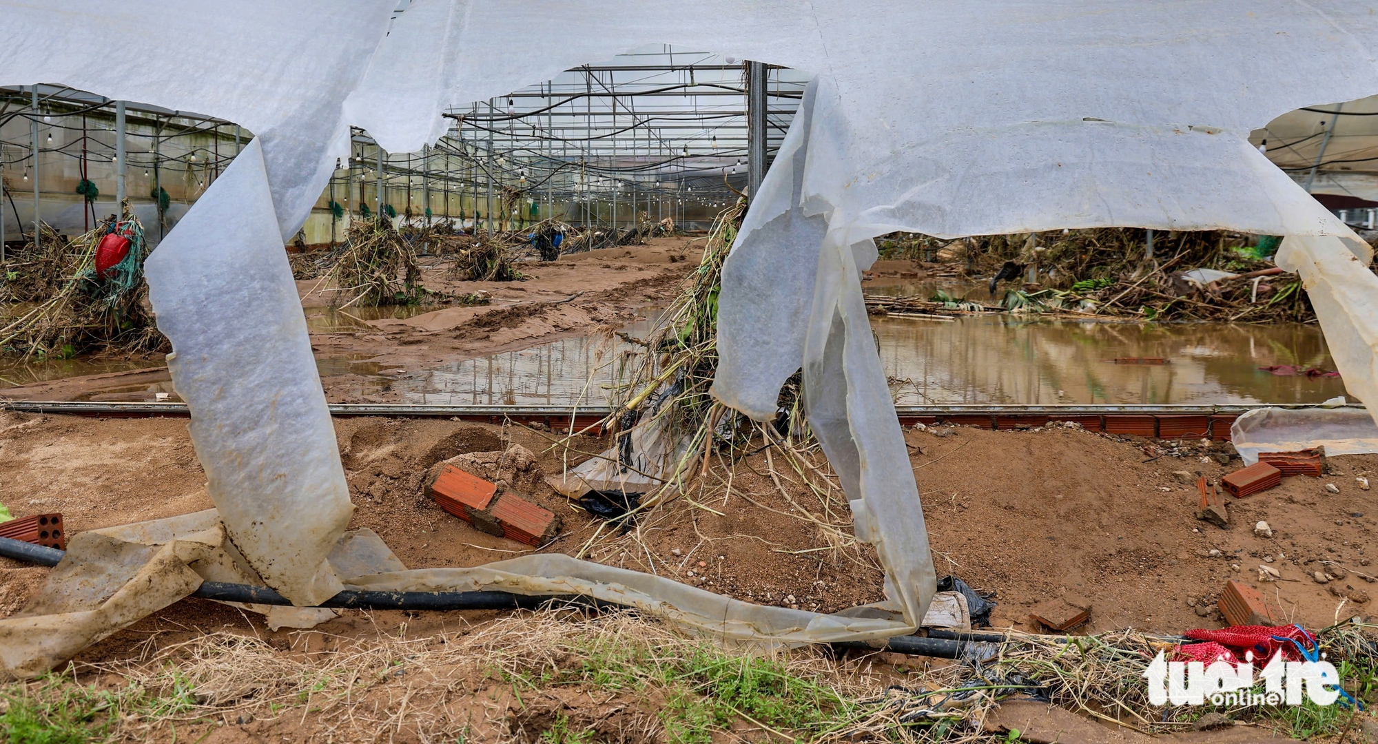Vùng rau lớn nhất Lâm Đồng tan nát - Ảnh 1. Xót xa hình ảnh vùng rau lớn nhất Lâm Đồng tan hoang sau lũ dữ - Ảnh 1.