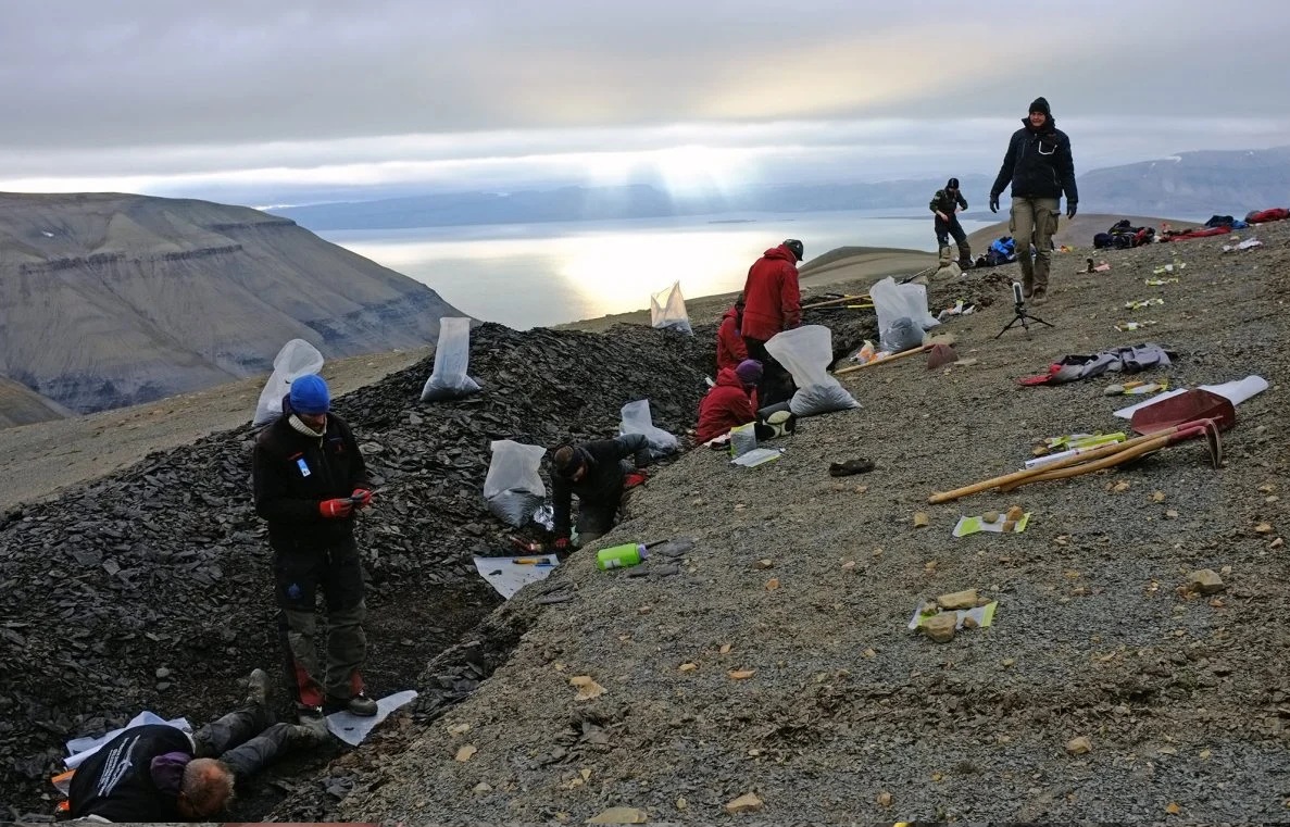 Xuất hiện đàn thủy quái 249 triệu tuổi đảo lộn lịch sử tiến hóa - Ảnh 1.