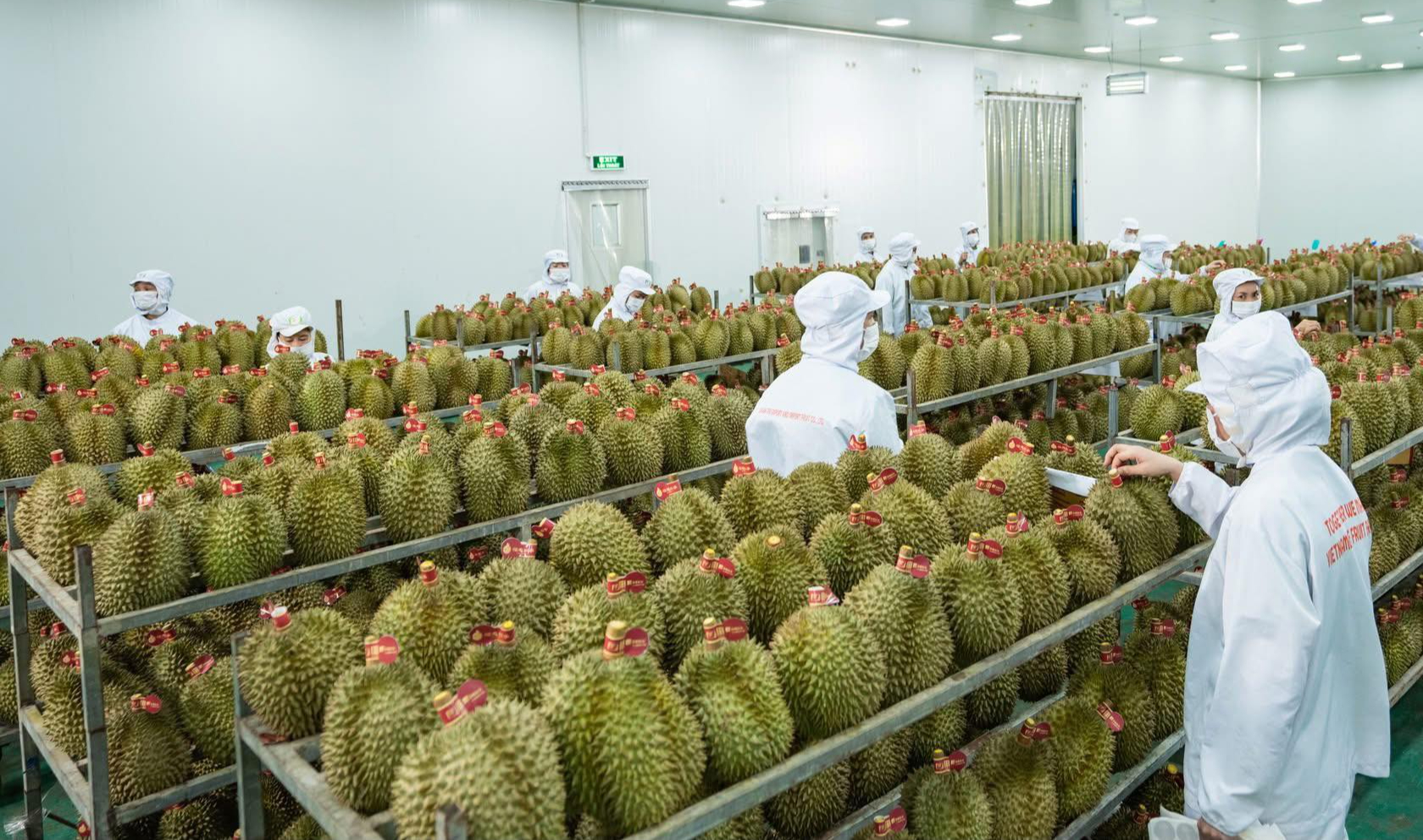 Xuất khẩu nông lâm thủy sản lập kỷ lục mới sau 11 tháng 1 Xuất khẩu nông lâm thủy sản lập kỷ lục mới sau 11 tháng - Ảnh 1.