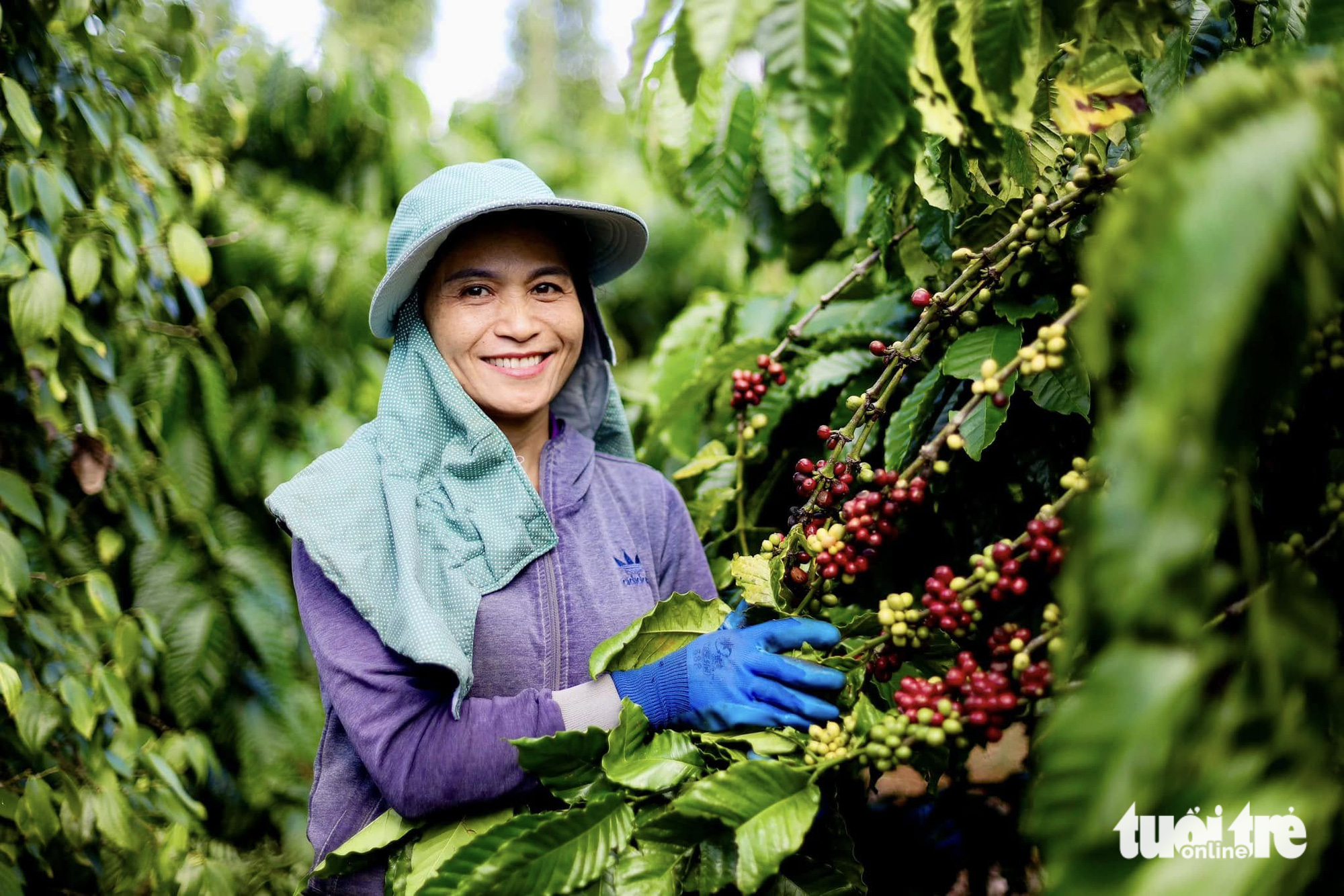 xuất khẩu - Ảnh 2.