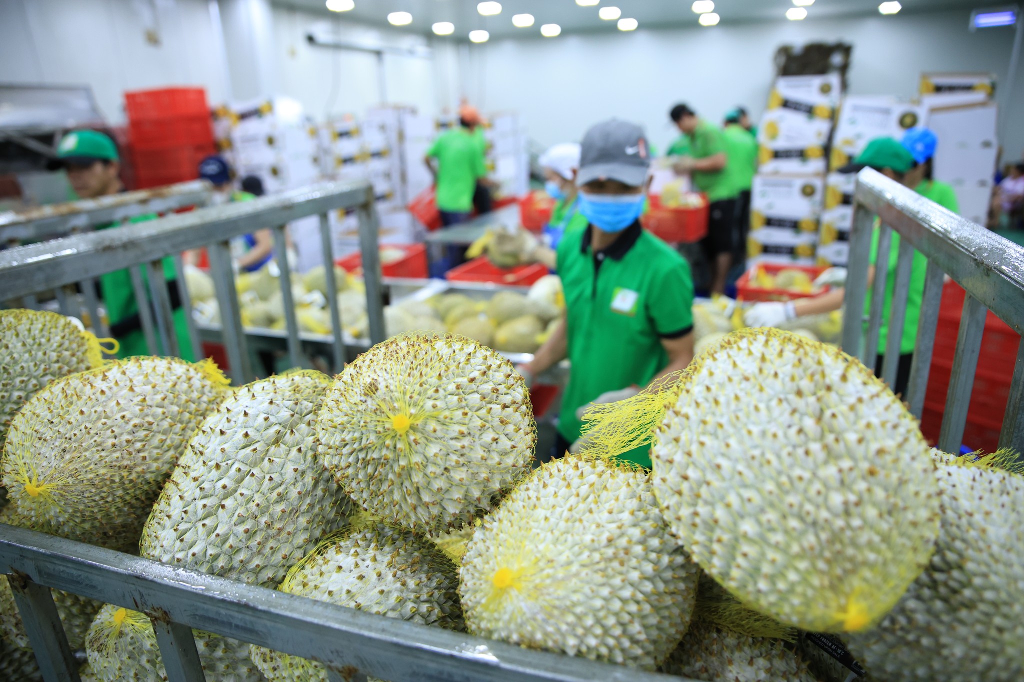 Xuất khẩu nông lâm thủy sản năm 2025 đạt 70,09 tỉ USD, cao nhất từ trước đến nay - Ảnh 1.