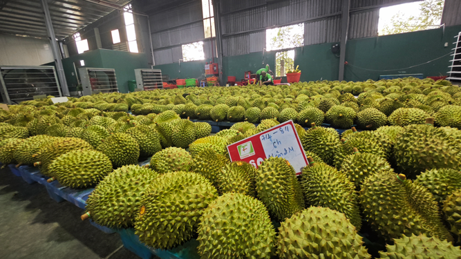 Xuất khẩu nông, lâm, thủy sản sớm về đích - Ảnh 1.