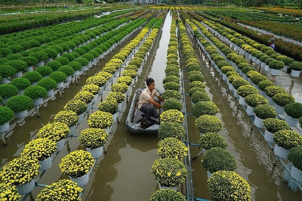 Vui chơi - giải trí đầu năm mới- Ảnh 8. Vui chơi - giải trí đầu năm mới- Ảnh 8.