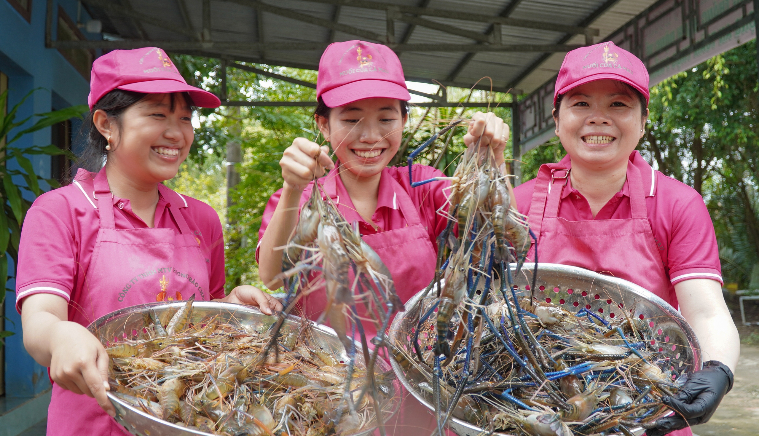 TÔM CÀNG - Ảnh 2.