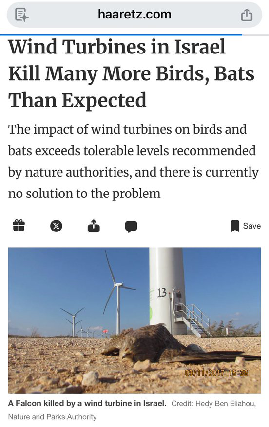 Tổng thống Trump cáo buộc turbine gió giết chết tất cả đại bàng đầu trọc biểu tượng của Mỹ? - Ảnh 2. Có thật các tua bin điện gió giết chết tất cả đại bàng đầu trọc biểu tượng của Mỹ? - Ảnh 2.