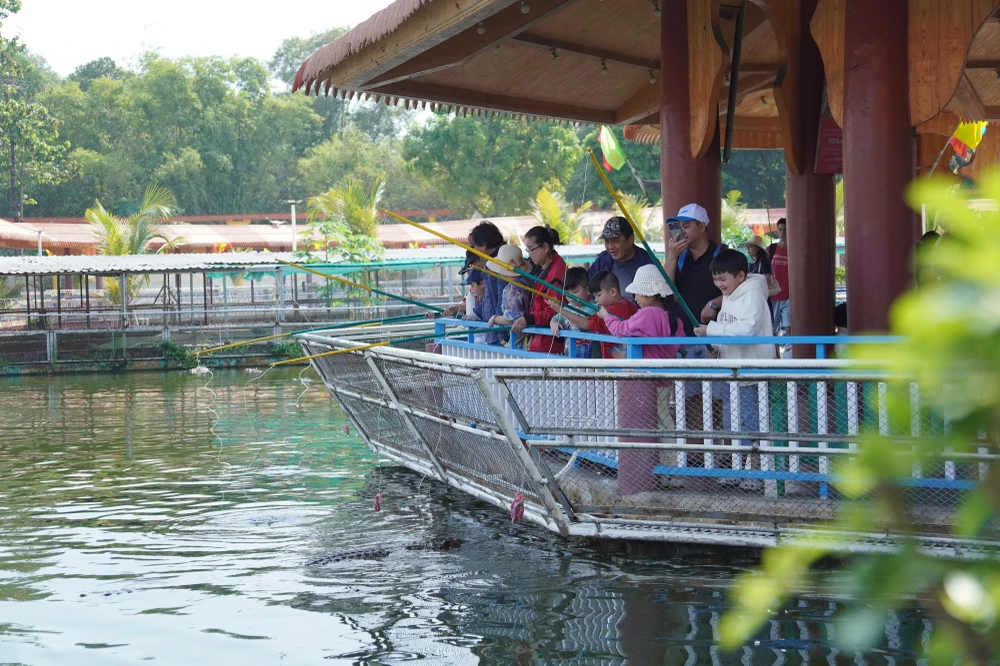 Du khách thích thú trải nghiệm dịch vụ câu cá sấu. TP.HCM-12.JPG