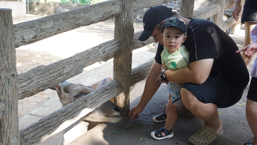 Các em nhỏ thích thú khi tận mắt quan sát và tìm hiểu về tập tính của các loài động vật hoang dã. TP.HCM-15.JPG