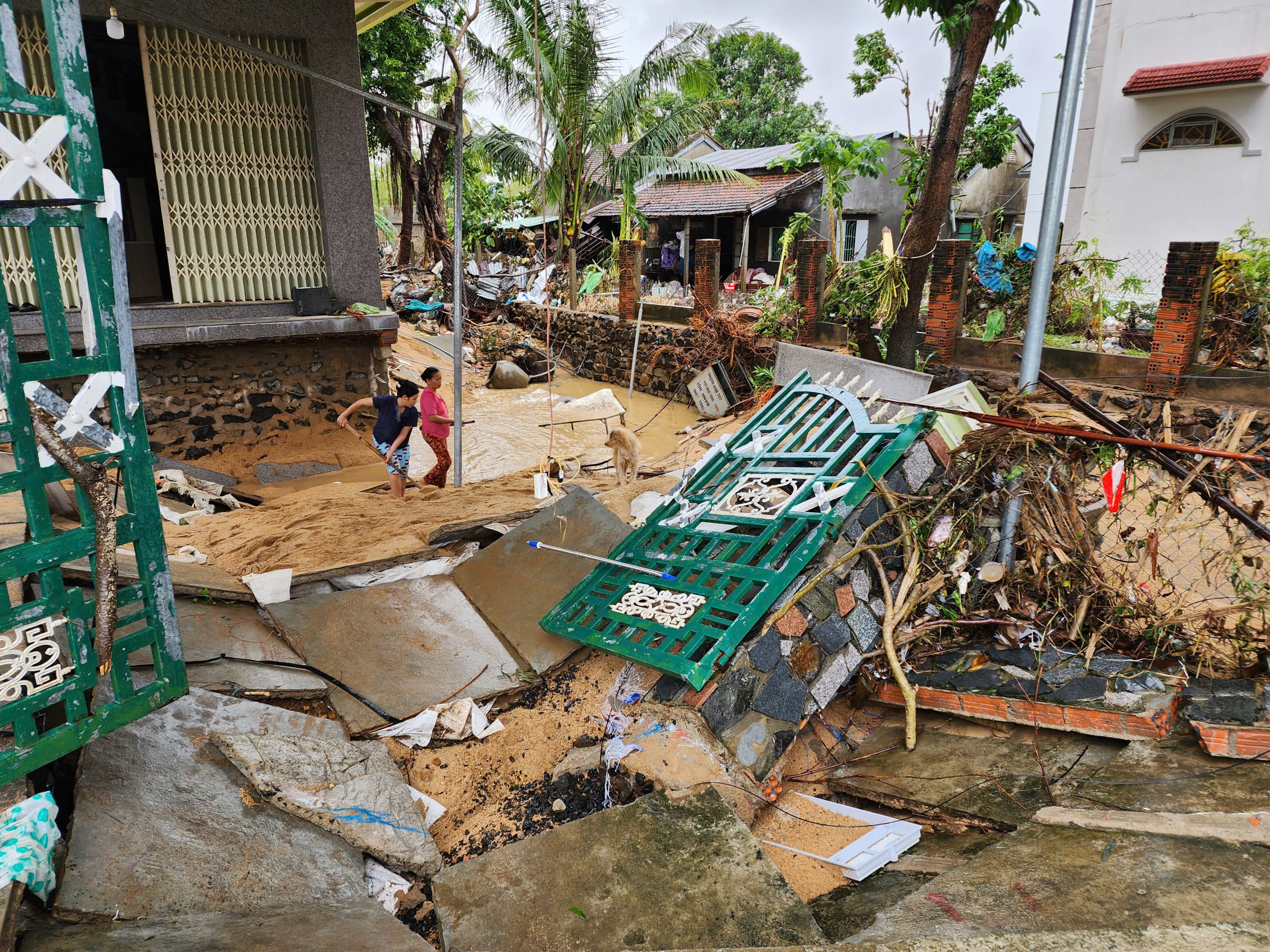 Hành trình từ Bắc vào Trung tiếp sức người dân trồng lại luống rau, mua lại con giống 3 GREENFEED - Ảnh 4.