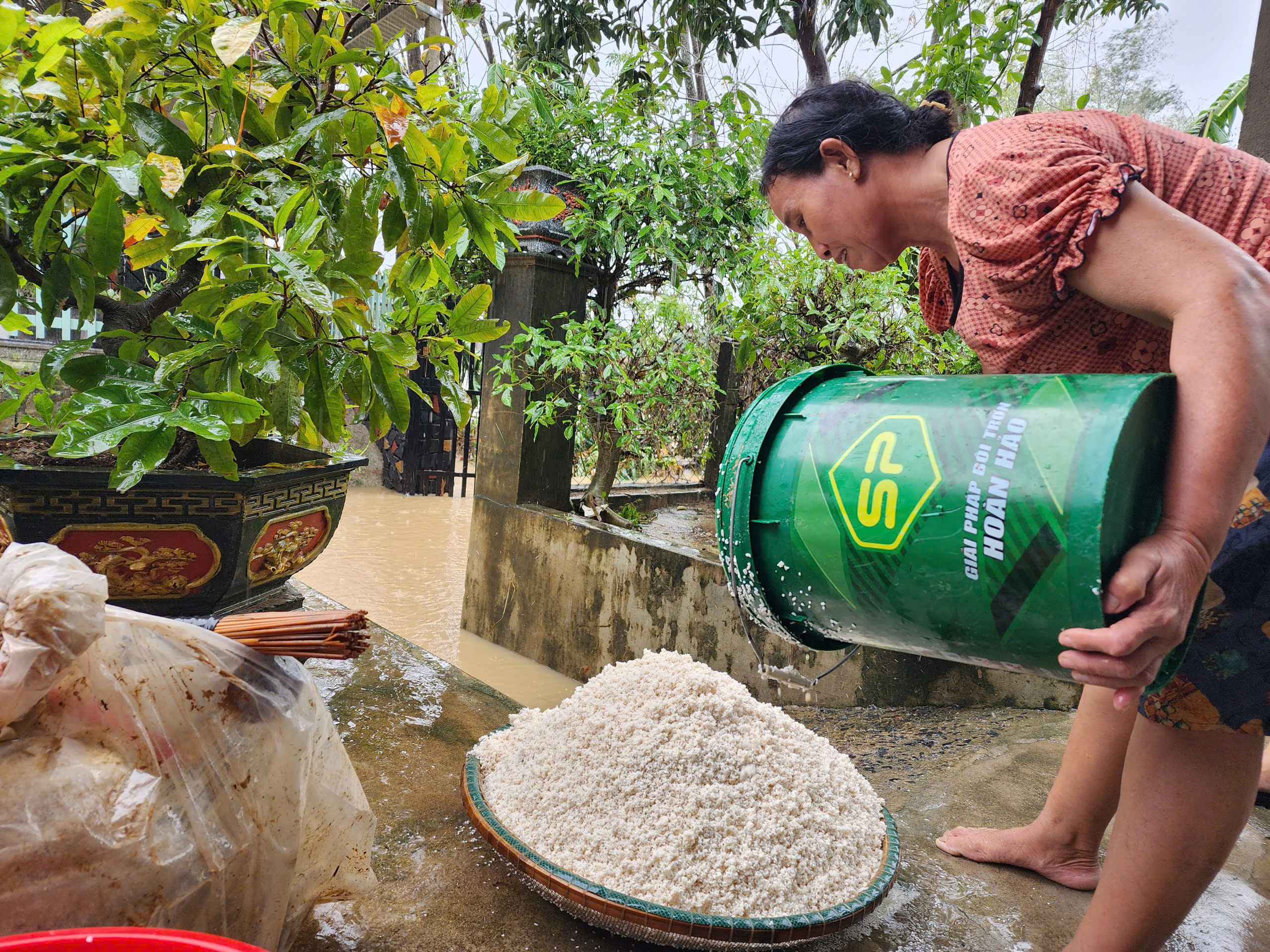 Hành trình từ Bắc vào Trung tiếp sức người dân trồng lại luống rau, mua lại con giống 4 GREENFEED - Ảnh 5.