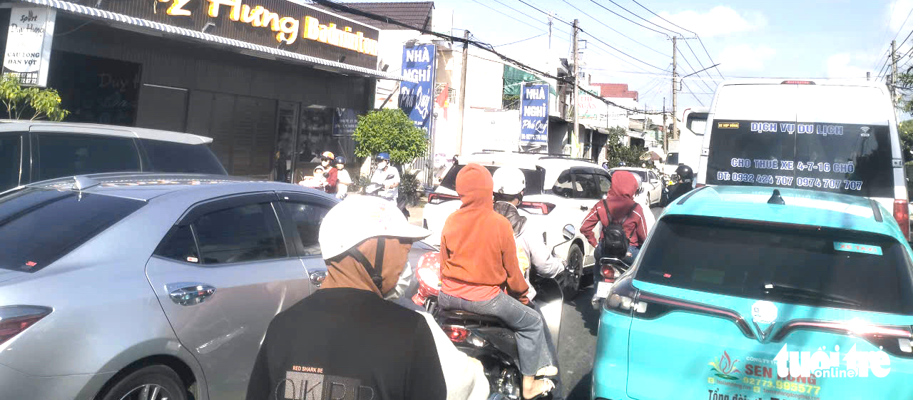 làng hoa Sa Đéc - Ảnh 2.