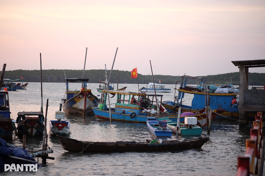 Những điểm du lịch lên rừng, xuống biển gần TPHCM cho gia đình nghỉ lễ - 4