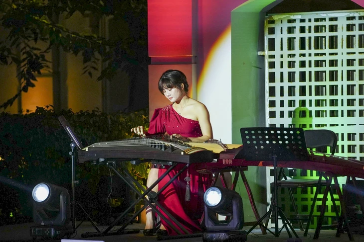 Da Nang concert - Ảnh 8.