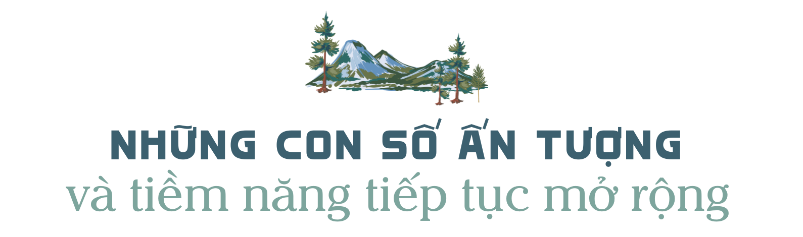 Chỉ trong 2025, Việt Nam “giữ chân” hơn 21 triệu lượt khách quốc tế: Không phải khách Tây, đây mới là 3 thị trường đang trỗi dậy mạnh mẽ- Ảnh 2.