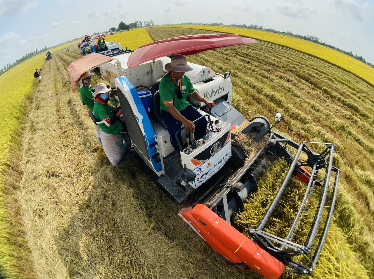 Đón tin vui đầu năm, nông sản sẵn sàng phá kỷ lục 70 tỉ USD - Ảnh 2.