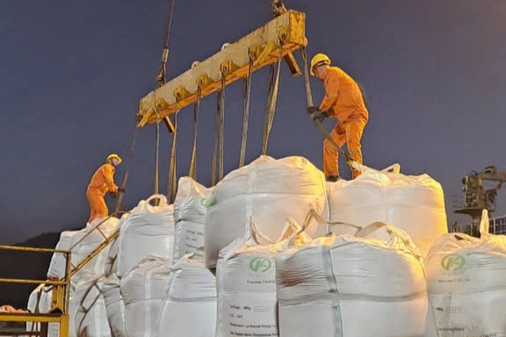 Loạt tàu hàng trọng tải lớn xông đất cảng tổng hợp quốc gia đầu năm mới - 2