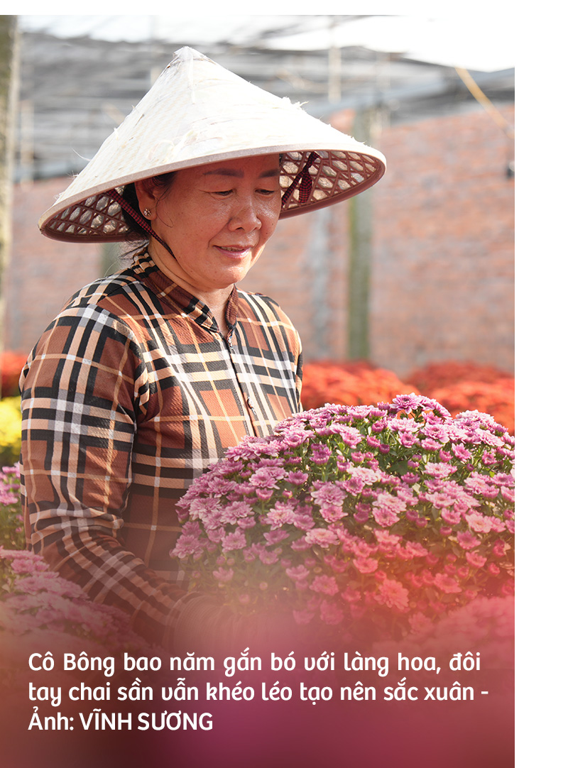 Hoa kiểng Sa Đéc: Giữ gốc rễ - mở lối tương lai - Ảnh 11.