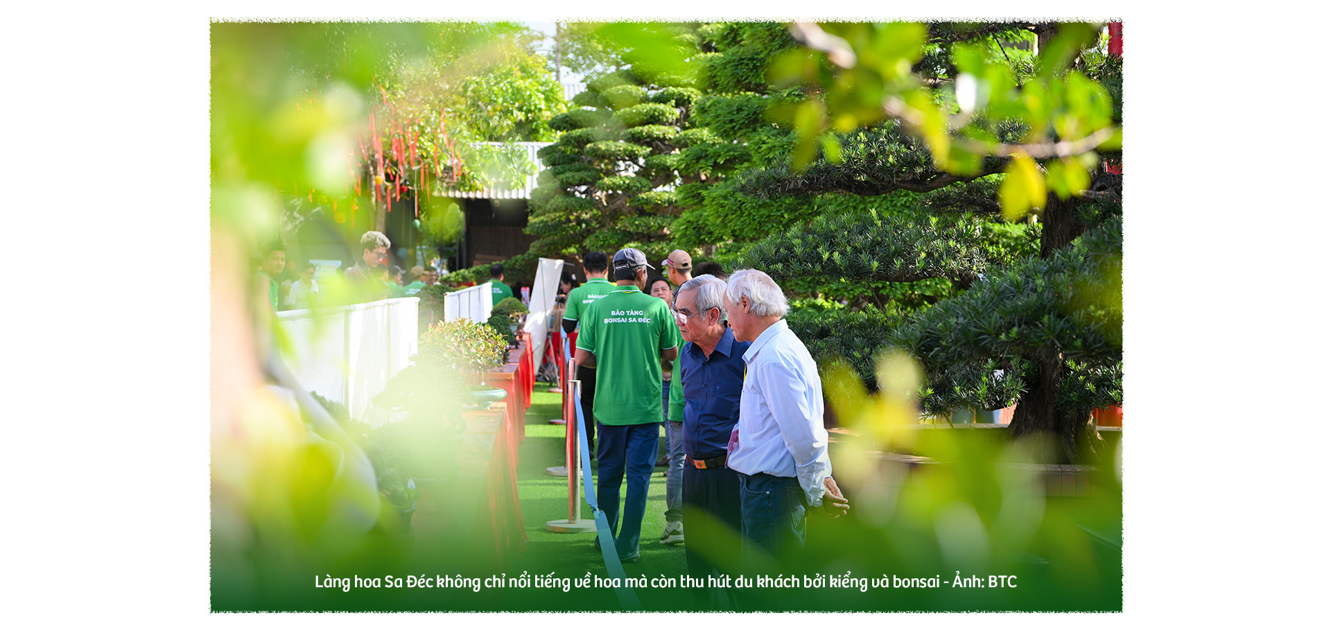 Hoa kiểng Sa Đéc: Giữ gốc rễ - mở lối tương lai - Ảnh 14.