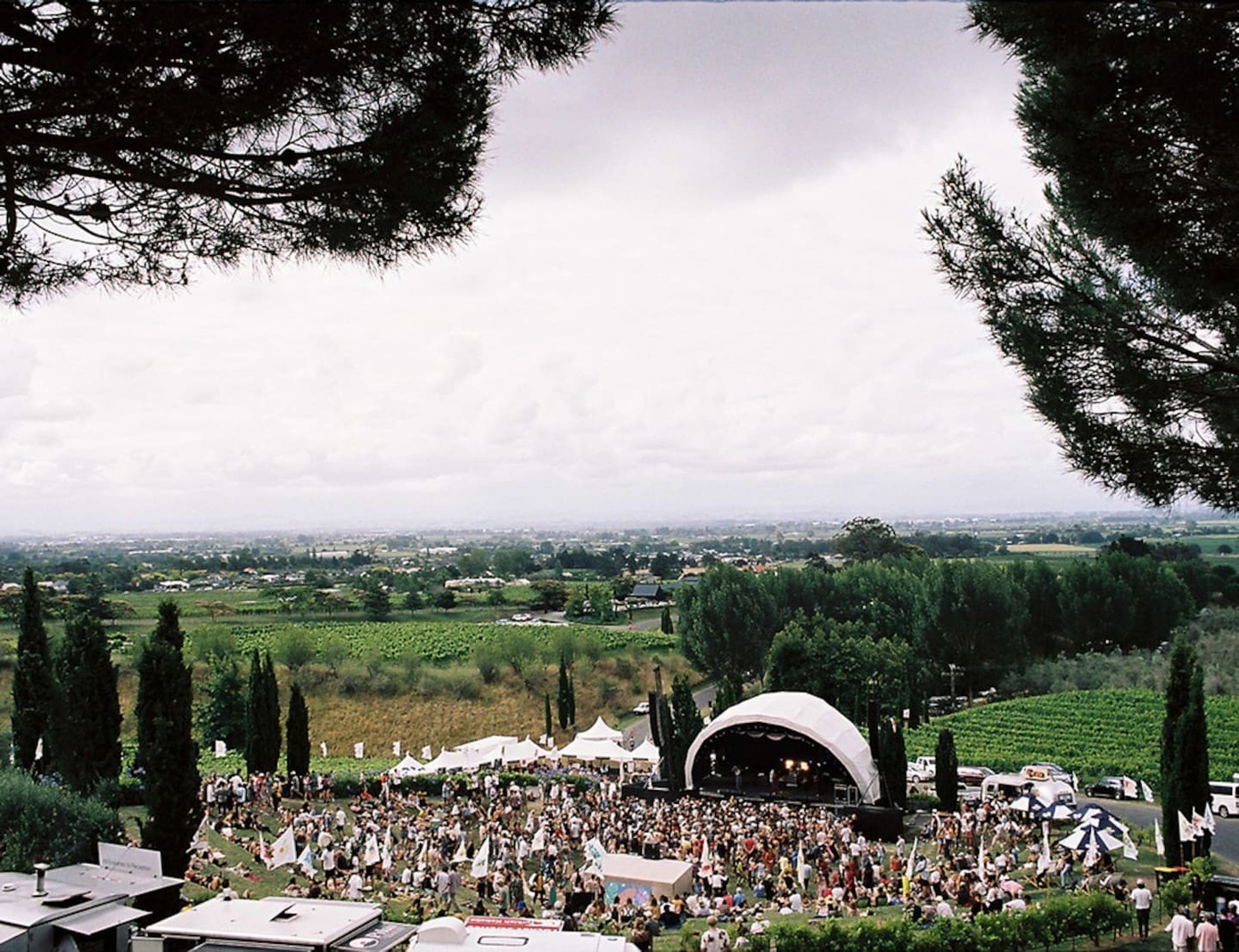 Lỗ hổng trong vụ Về Đây Bốn Cánh Chim Trời- Ảnh 2.