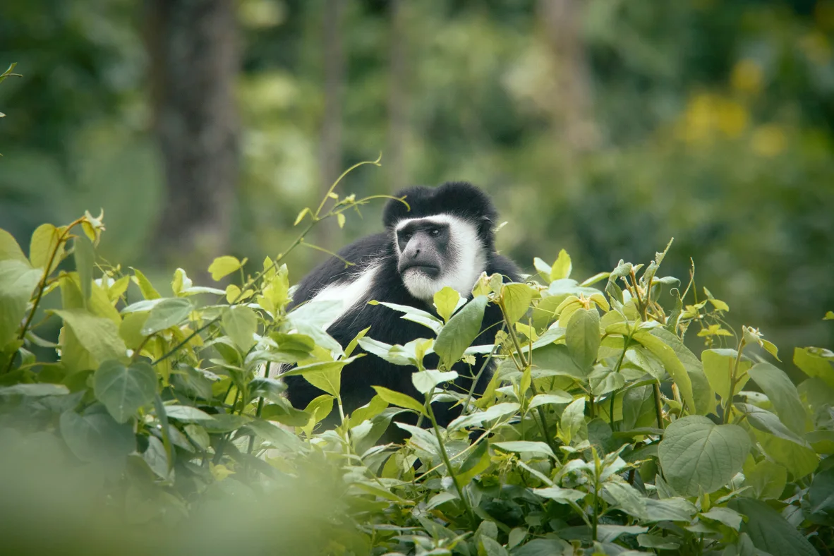 Những địa điểm tuyệt vời để ghé thăm trong năm 2026- Ảnh 4.