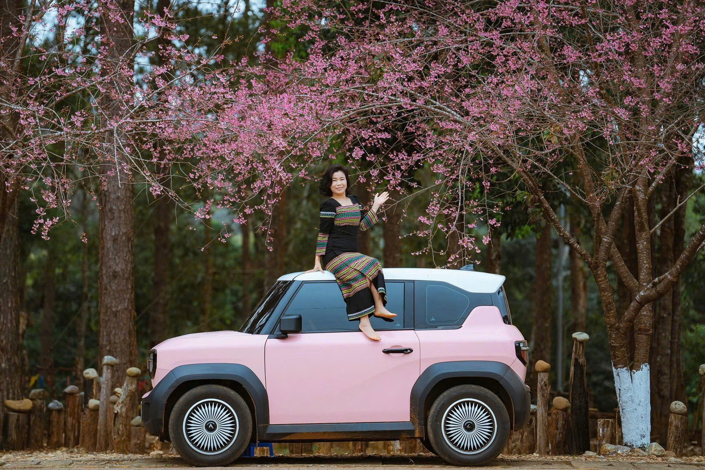 Du khách nườm nượp đổ về Măng Đen ngắm hoa anh đào nở rộ- Ảnh 10.