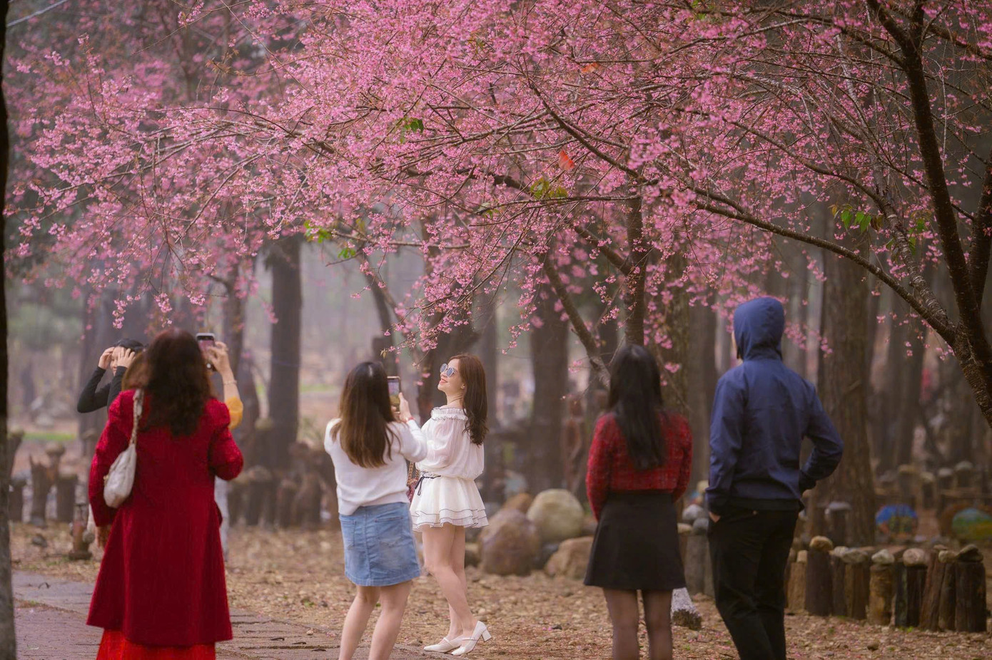 Du khách nườm nượp đổ về Măng Đen ngắm hoa anh đào nở rộ- Ảnh 12.