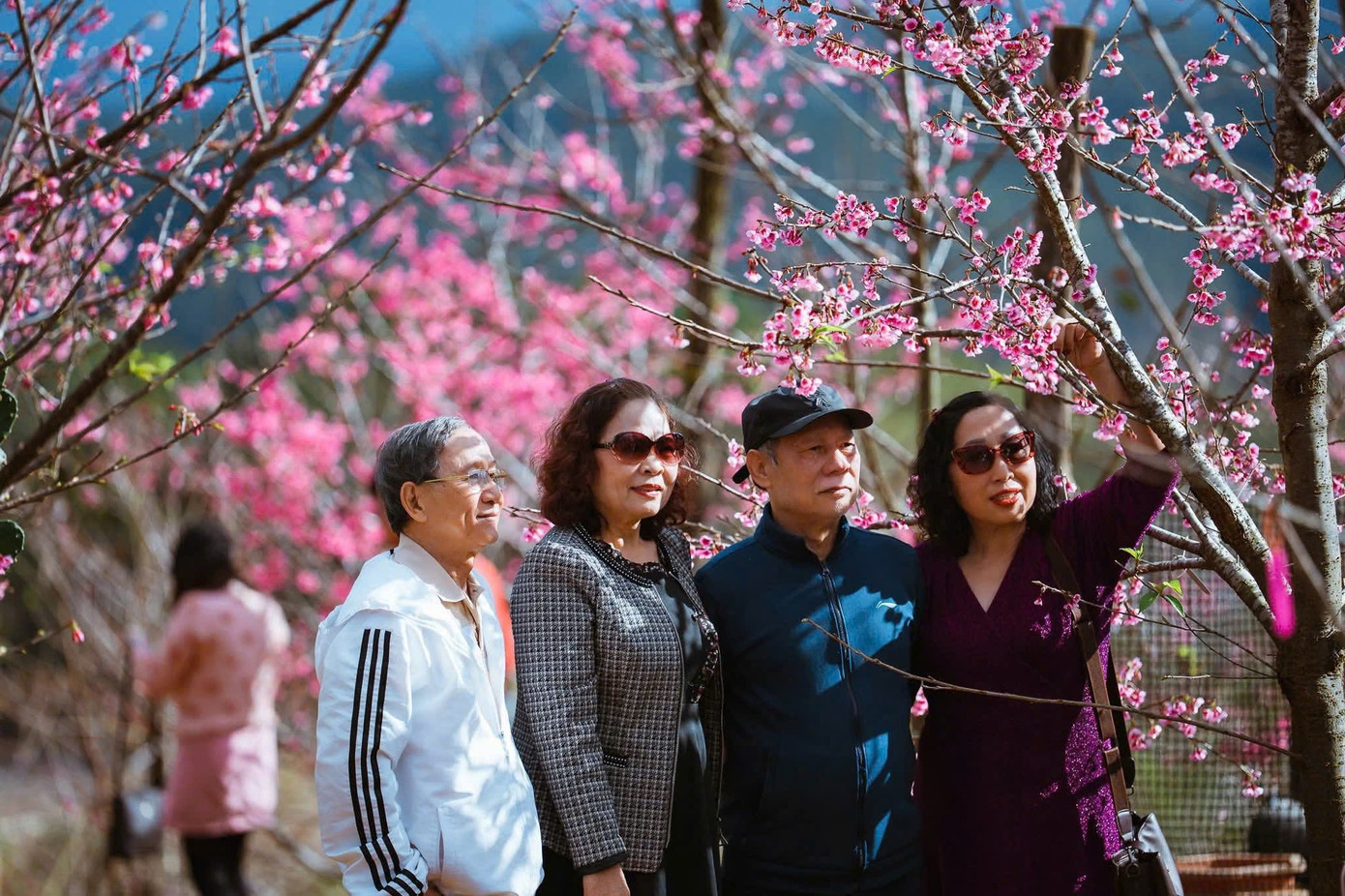 Du khách nườm nượp đổ về Măng Đen ngắm hoa anh đào nở rộ- Ảnh 14.