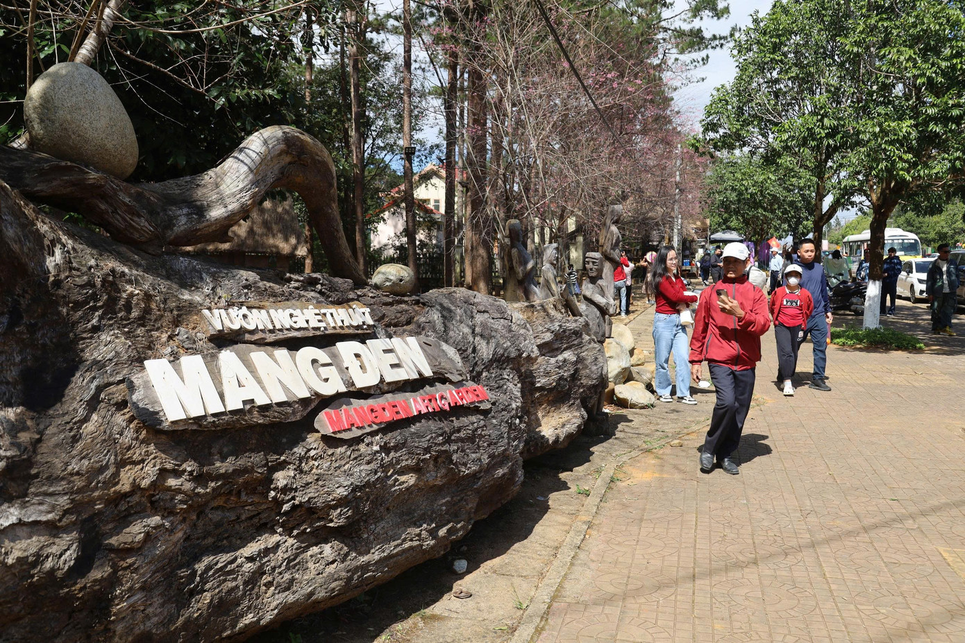 Du khách nườm nượp đổ về Măng Đen ngắm hoa anh đào nở rộ- Ảnh 24.