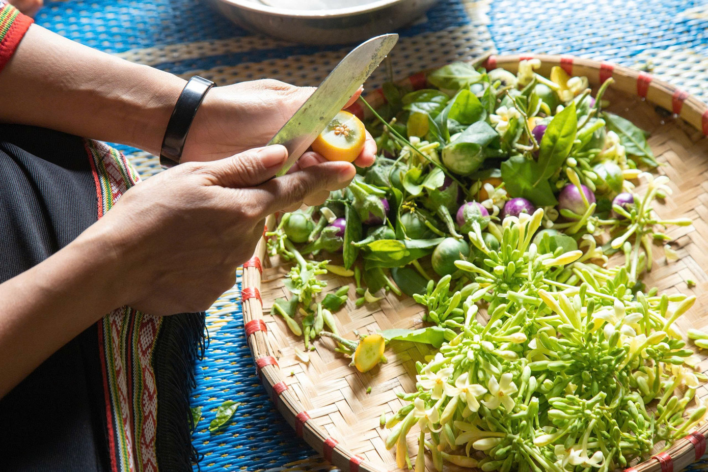 Khách Tây mê tít trải nghiệm lên rẫy bằng xe công nông 'Lamborghini Ê Đê'- Ảnh 7.