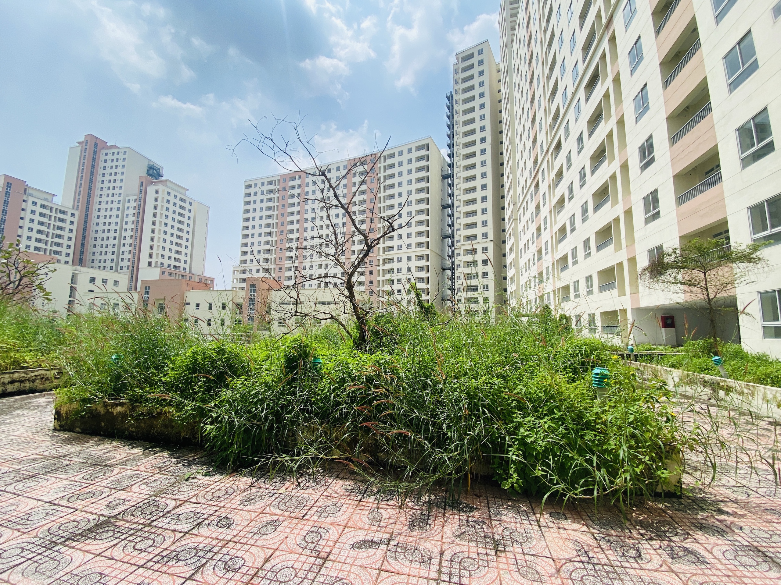 Hé lộ nguyên nhân khu nhà tái định cư hơn 20 năm vẫn chưa hoàn thành - Ảnh 2.