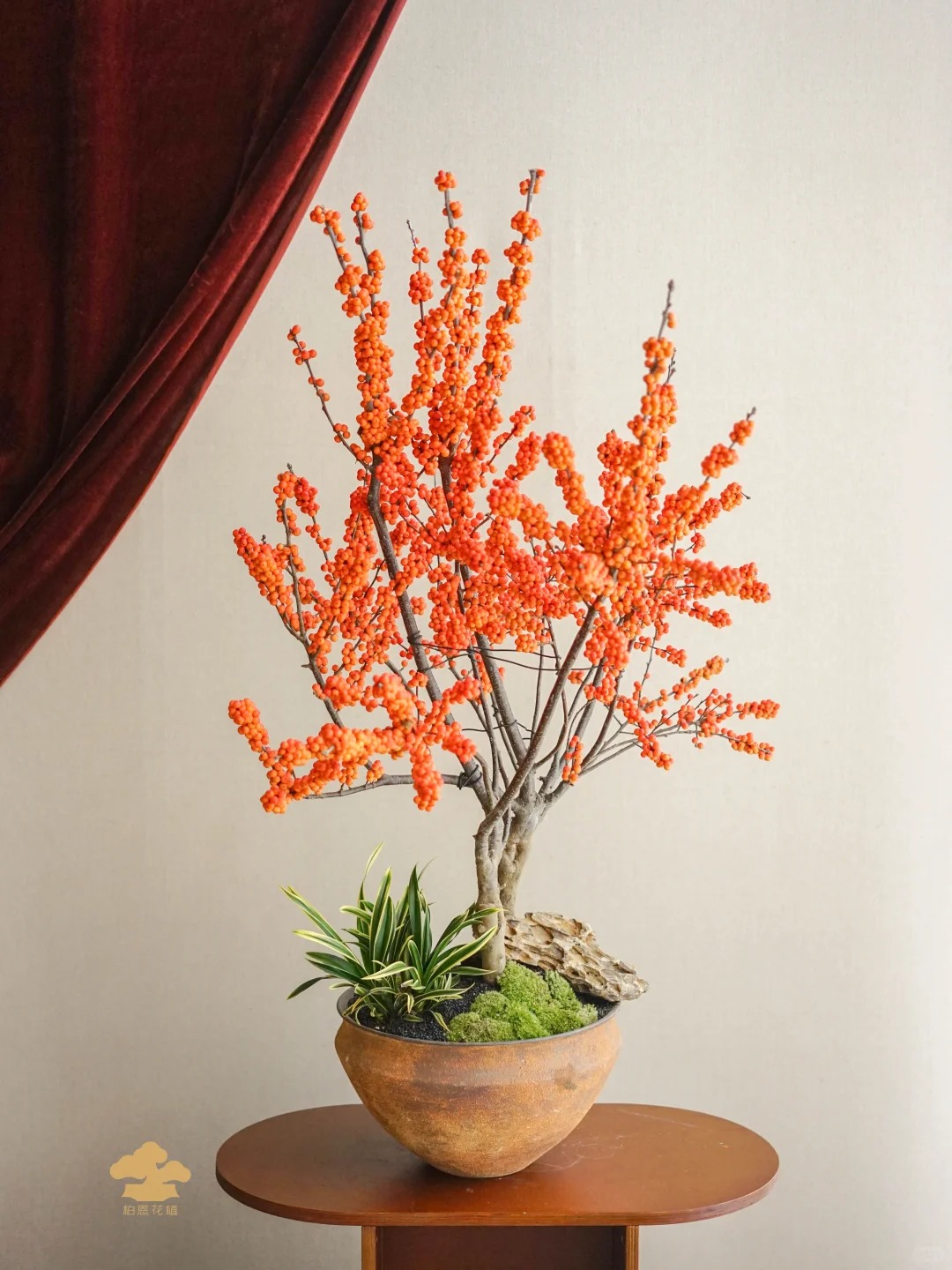 Tết đừng chỉ chơi đào, hãy thử cắm bình đào đông 