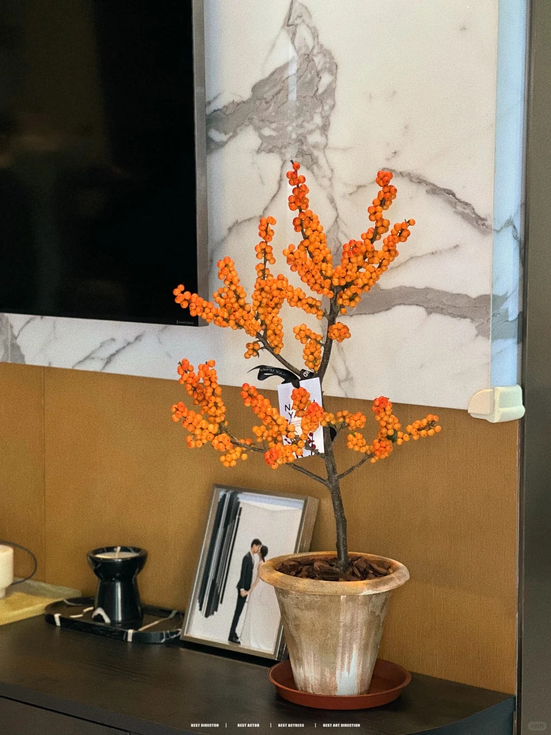 Tết đừng chỉ chơi đào, hãy thử cắm bình đào đông 