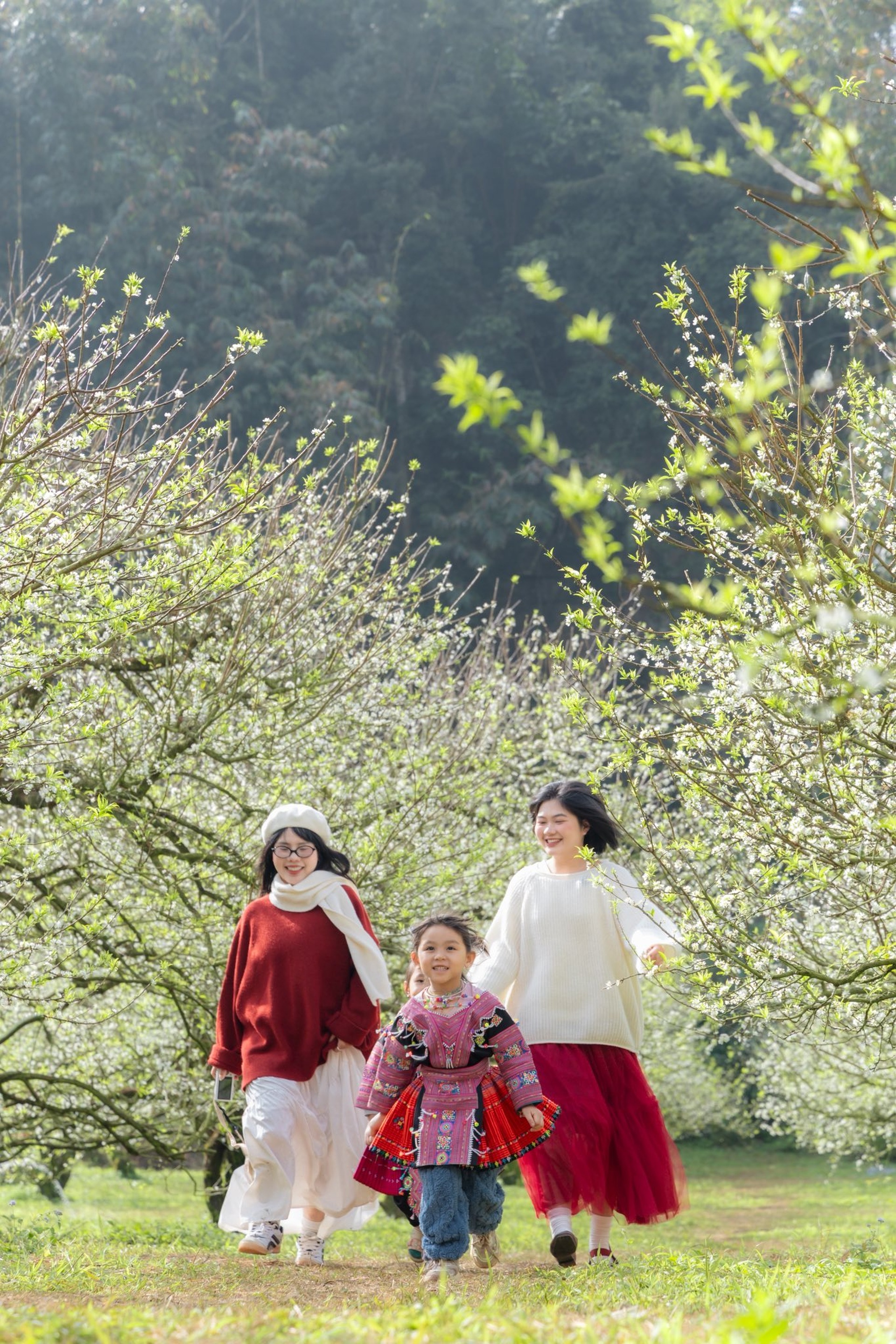 Hoa mận nở trắng Mộc Châu, du khách như lạc vào miền cổ tích - 6