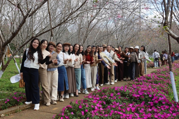 Du khách nườm nượp đổ về Măng Đen ngắm hoa anh đào nở rộ - 22