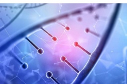 3 nguyên tắc ngăn ngừa tế bào ung thư, người Việt cần biết và thực hiện càng sớm càng tốt