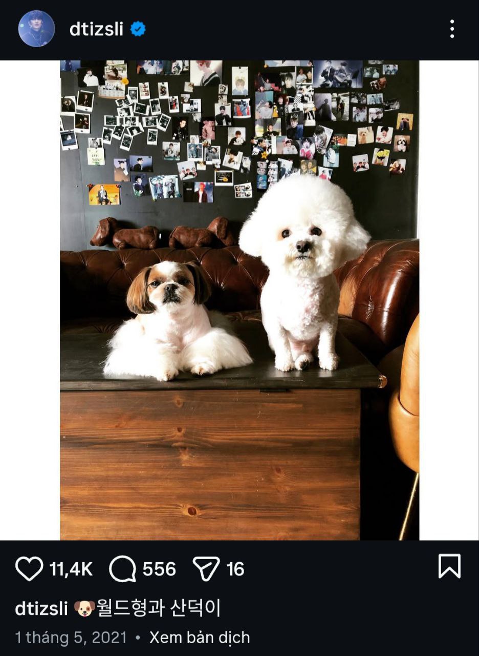 Nam ca sĩ huyền thoại 