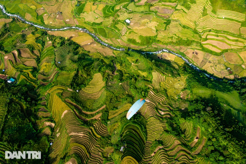 Gợi ý lịch trình cho khách săn hoa tớ dày ở Mù Cang Chải - 5