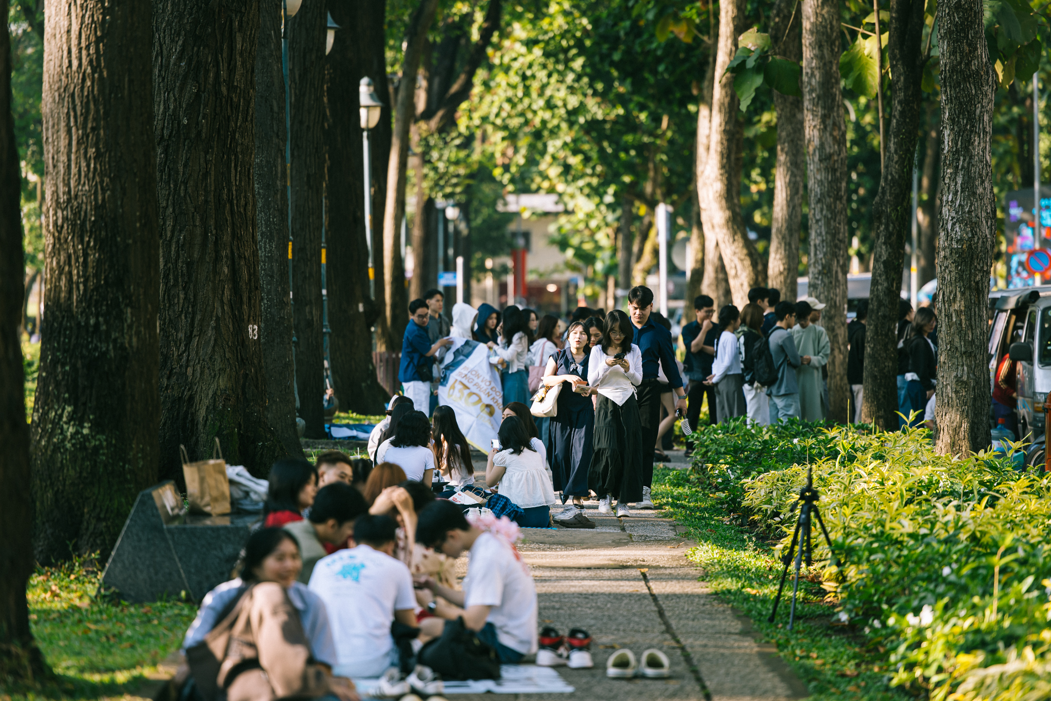 Ảnh, clip: Hà Nội và TP.HCM thật lạ trong sáng đầu năm 2026- Ảnh 25.