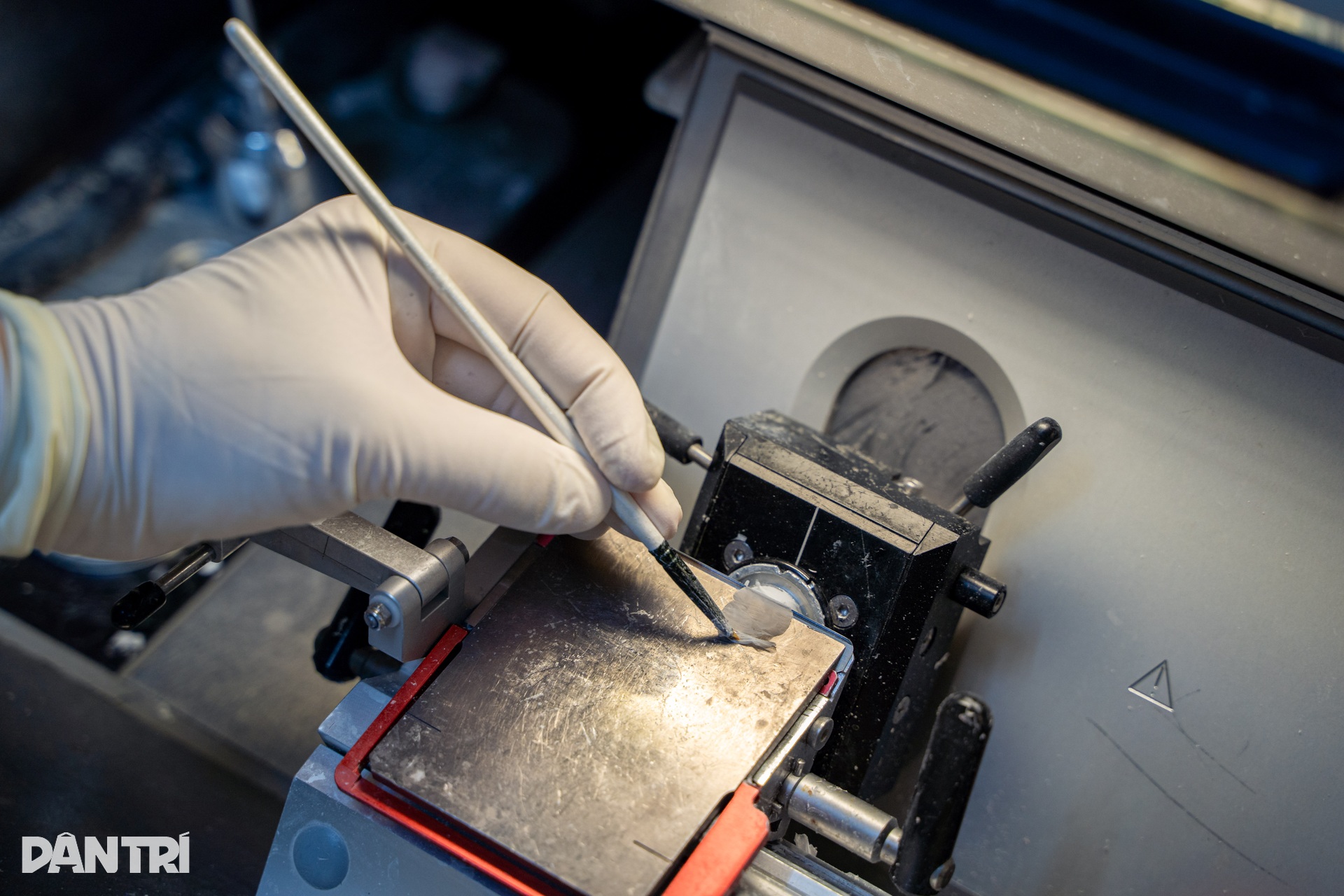 Lát cắt 3 micromet hé lộ “câu chuyện” bên trong cầu thận - 2 Lát cắt 3 micromet hé lộ “câu chuyện” bên trong cầu thận - 2