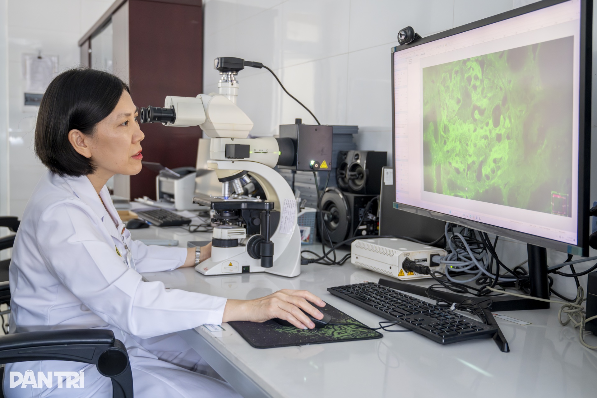 Lát cắt 3 micromet hé lộ “câu chuyện” bên trong cầu thận - 10 Lát cắt 3 micromet hé lộ “câu chuyện” bên trong cầu thận - 10