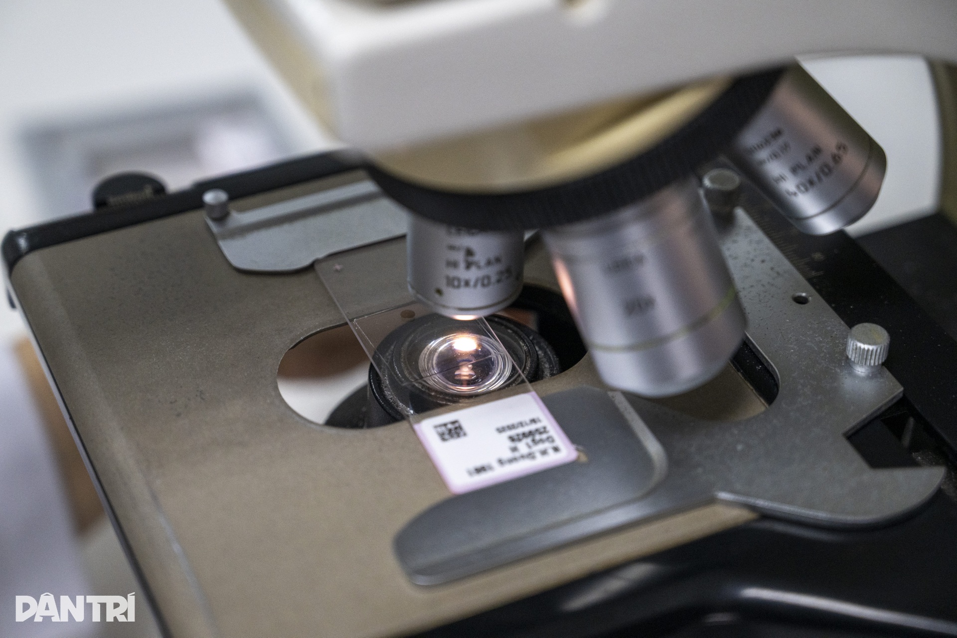 Lát cắt 3 micromet hé lộ “câu chuyện” bên trong cầu thận - 11 Lát cắt 3 micromet hé lộ “câu chuyện” bên trong cầu thận - 11